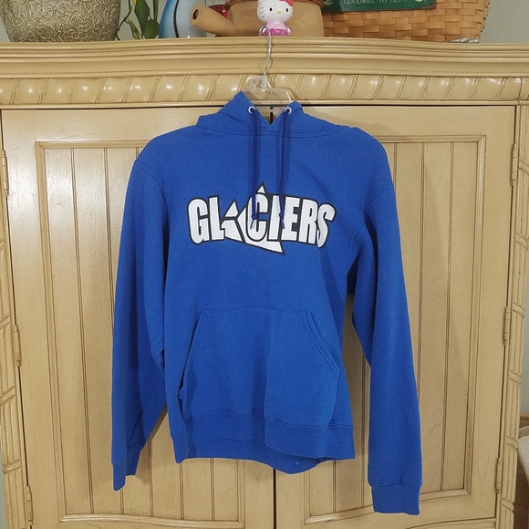 Glaciers Other - 3/$10🤩 Glaciers Hoodie, sz Small